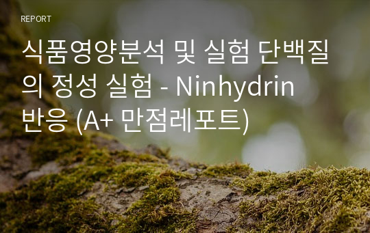 식품영양분석 및 실험 단백질의 정성 실험 - Ninhydrin 반응 (A+ 만점레포트)