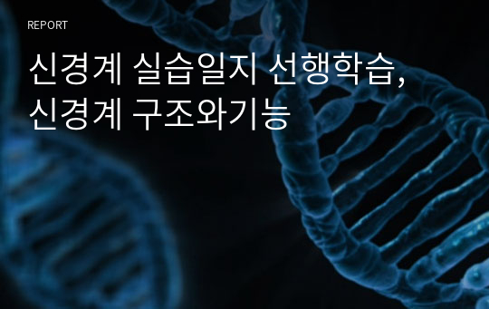 신경계 실습일지 선행학습, 신경계 구조와기능