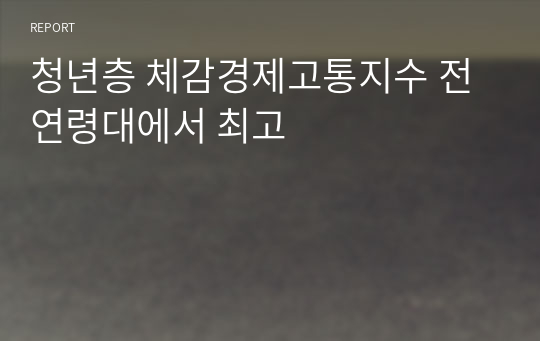 청년층 체감경제고통지수 전연령대에서 최고