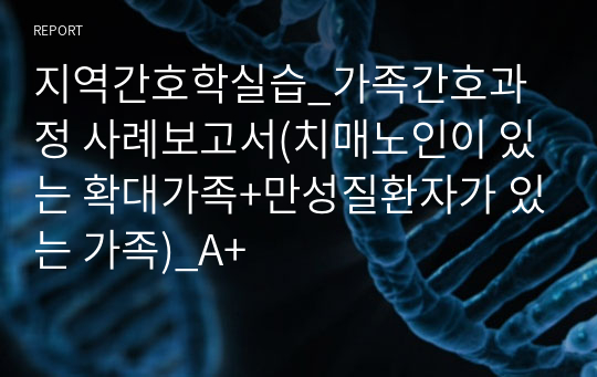 지역간호학실습_가족간호과정 사례보고서(치매노인이 있는 확대가족+만성질환자가 있는 가족)_A+