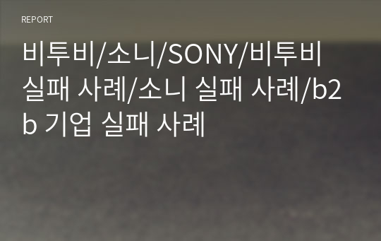 비투비마케팅/소니/SONY/비투비 실패 사례/소니 실패 사례/b2b 기업 실패 사례