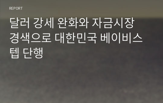 달러 강세 완화와 자금시장 경색으로 대한민국 베이비스텝 단행