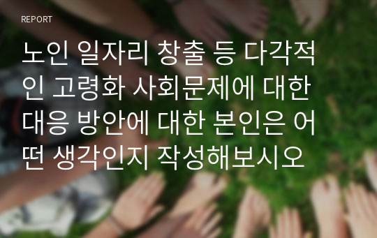 노인 일자리 창출 등 다각적인 고령화 사회문제에 대한 대응 방안에 대한 본인은 어떤 생각인지 작성해보시오