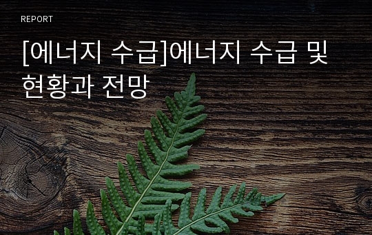 [에너지 수급]에너지 수급 및 현황과 전망