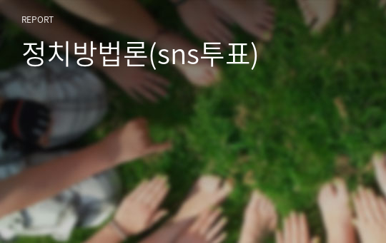 정치방법론(sns투표)