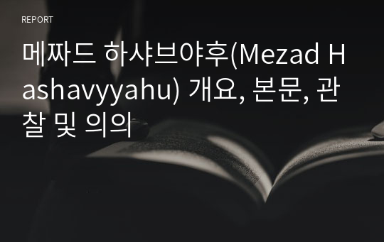 메짜드 하샤브야후(Mezad Hashavyyahu) 개요, 본문, 관찰 및 의의