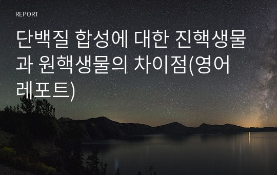 단백질 합성에 대한 진핵생물과 원핵생물의 차이점(영어 레포트)