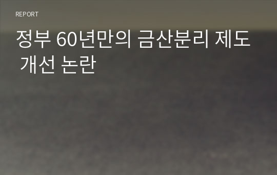 정부 60년만의 금산분리 제도 개선 논란