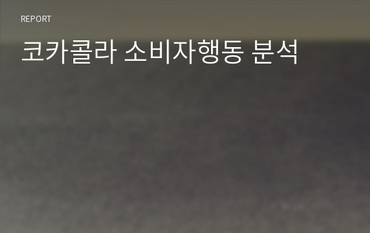 코카콜라 소비자행동 분석