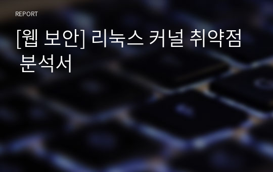 [웹 보안A+] 리눅스 커널 취약점 분석서