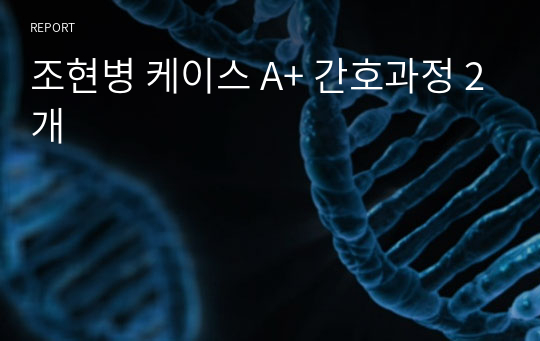 조현병 케이스 A+ 간호과정 2개