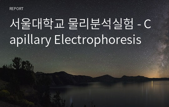 서울대학교 물리분석실험 - Capillary Electrophoresis