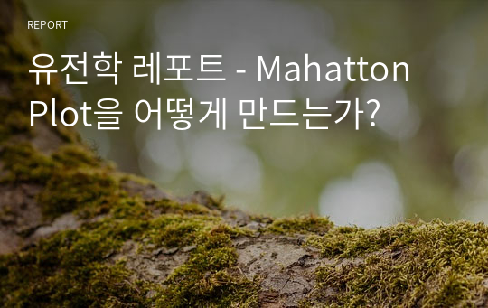 유전학 레포트 - Mahatton Plot을 어떻게 만드는가?