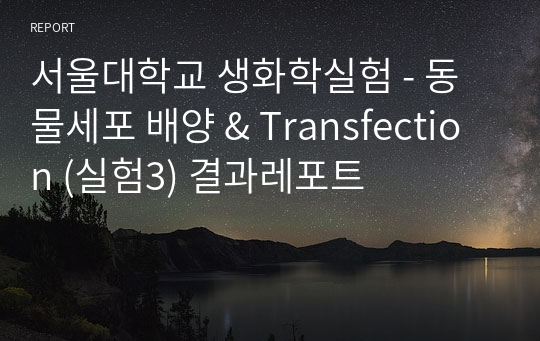 서울대학교 생화학실험 - 동물세포 배양 &amp; Transfection (실험3) 결과레포트
