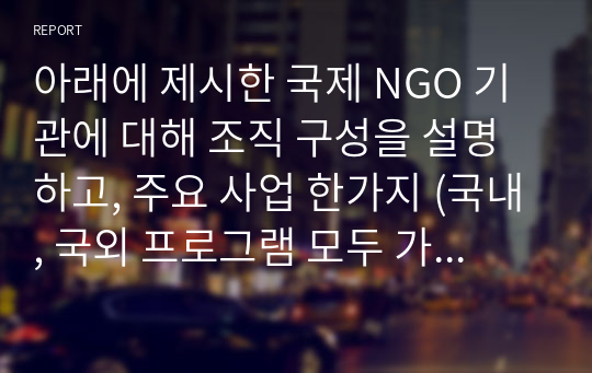 아래에 제시한 국제 NGO 기관에 대해 조직 구성을 설명하고, 주요 사업 한가지 (국내, 국외 프로그램 모두 가능)을 분석하시오.