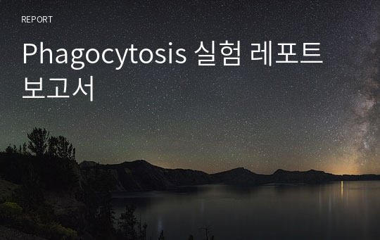 Phagocytosis 실험 레포트 보고서