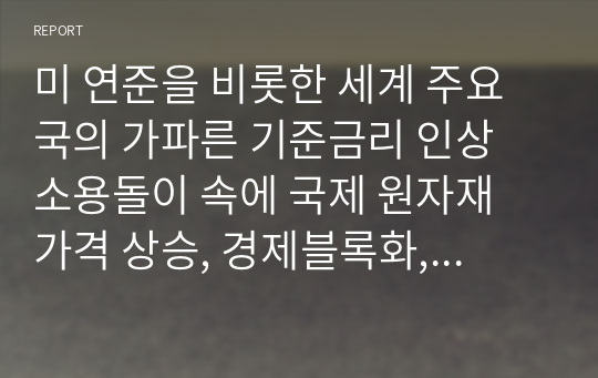 미 연준을 비롯한 세계 주요국의 가파른 기준금리 인상 소용돌이 속에 국제 원자재 가격 상승, 경제블록화, 달러화 강세 등 다양한 리스크가 존재하는 가운데 우리 경제가 재도약할 수 있는 방안에 대해 서술하시오