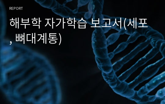 해부학 자가학습 보고서(세포, 뼈대계통)