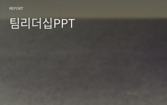 팀리더십PPT