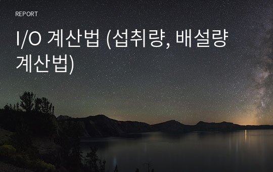 I/O 계산법 (섭취량, 배설량 계산법)