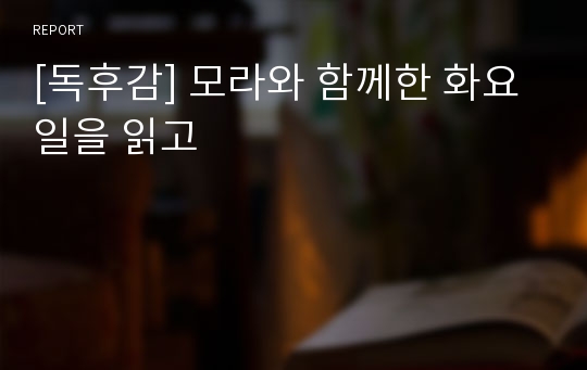 [독후감] 모라와 함께한 화요일을 읽고