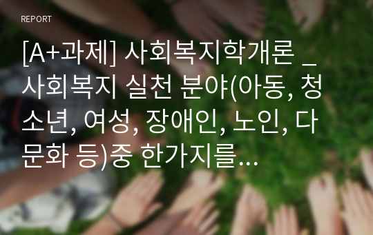 [A+과제] 사회복지학개론 _ 사회복지 실천 분야(아동, 청소년, 여성, 장애인, 노인, 다문화 등)중 한가지를 선택한 후 분야 별 사회복지정책의 실태와 문제점을 분석하고 사회복지적 개선 방향에 대한 의견을 제시하시오