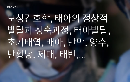 모성간호학, 태아의 정상적 발달과 성숙과정, 태아발달, 초기배엽, 배아, 난막, 양수, 난황낭, 제대, 태반, 태아성숙,