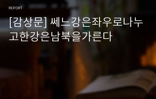 [감상문] 쎄느강은좌우로나누고한강은남북을가른다