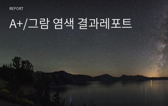 A+/그람 염색 결과레포트