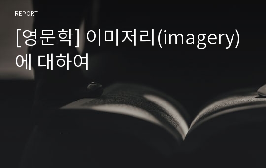 [영문학] 이미저리(imagery)에 대하여