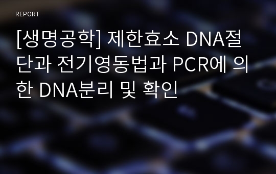 [생명공학] 제한효소 DNA절단과 전기영동법과 PCR에 의한 DNA분리 및 확인