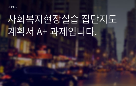 사회복지현장실습 집단지도계획서 A+ 과제입니다.