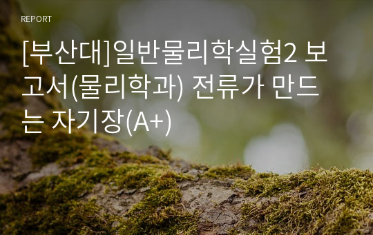 [부산대]일반물리학실험2 보고서(물리학과) 전류가 만드는 자기장(A+)