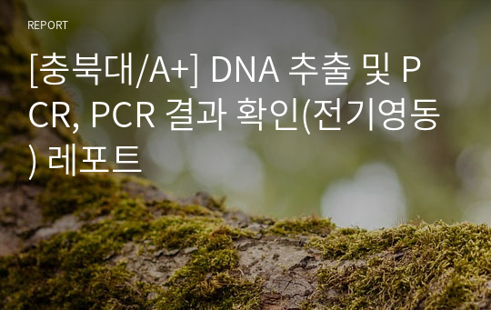 [충북대/A+] DNA 추출 및 PCR, PCR 결과 확인(전기영동) 레포트
