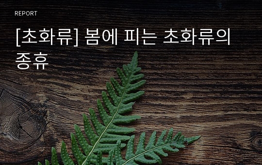 [초화류] 봄에 피는 초화류의 종휴