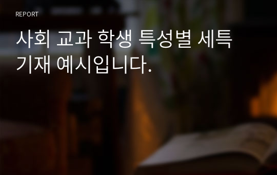 사회 교과 학생 특성별 세특 기재 예시입니다.