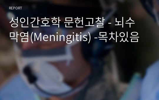 성인간호학 문헌고찰 - 뇌수막염(Meningitis) -목차있음