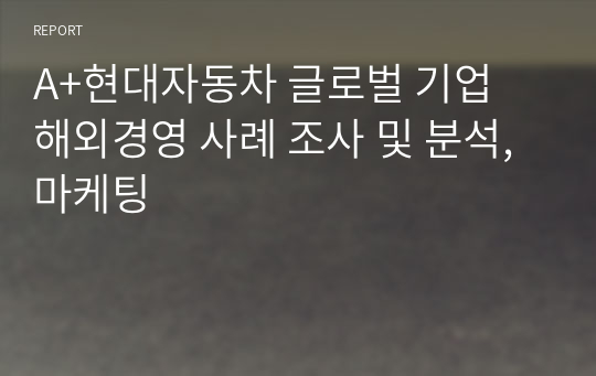 A+현대자동차 글로벌 기업 해외경영 사례 조사 및 분석, 마케팅