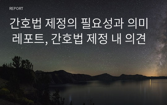 간호법 제정의 필요성과 의미 레포트, 간호법 제정 내 의견