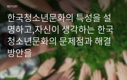 한국청소년문화의 특성을 설명하고,자신이 생각하는 한국청소년문화의 문제점과 해결방안을