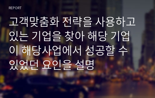 고객맞춤화 전략을 사용하고 있는 기업을 찾아 해당 기업이 해당사업에서 성공할 수 있었던 요인을 설명