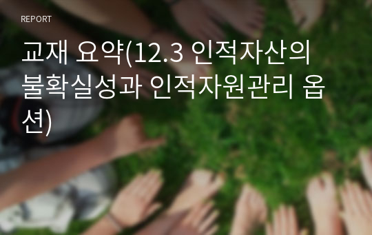 교재 요약(12.3 인적자산의 불확실성과 인적자원관리 옵션)