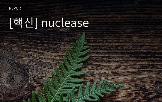 [핵산] nuclease