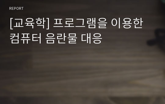 [교육학] 프로그램을 이용한 컴퓨터 음란물 대응