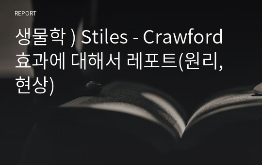 생물학 ) Stiles - Crawford 효과에 대해서 레포트(원리, 현상)