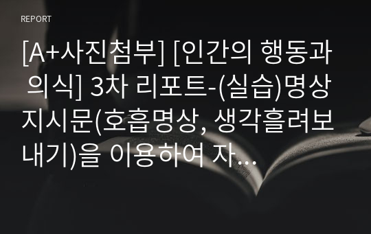 [A+사진첨부] [인간의 행동과 의식] 3차 리포트-(실습)명상지시문(호흡명상, 생각흘려보내기)을 이용하여 자신의 고민을 다루어보기