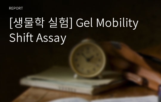 [생물학 실험] Gel Mobility Shift Assay