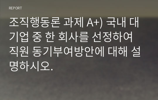 조직행동론 과제 A+) 국내 대기업 중 한 회사를 선정하여 직원 동기부여방안에 대해 설명하시오.