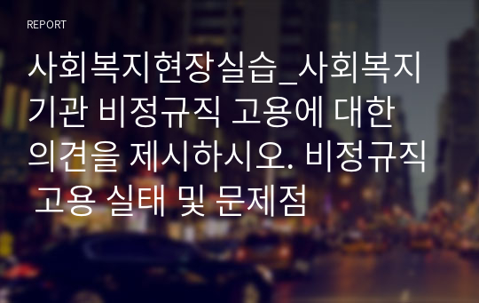 사회복지간접실습_비정규직 사회복지사 고용 문제에 대한 견해 서술