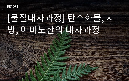 [물질대사과정] 탄수화물, 지방, 아미노산의 대사과정